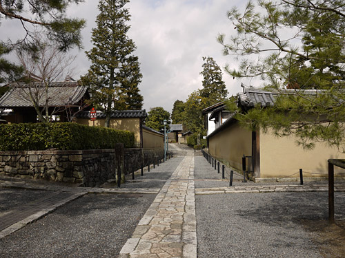 京都庭めぐりの旅 ～ 大徳寺