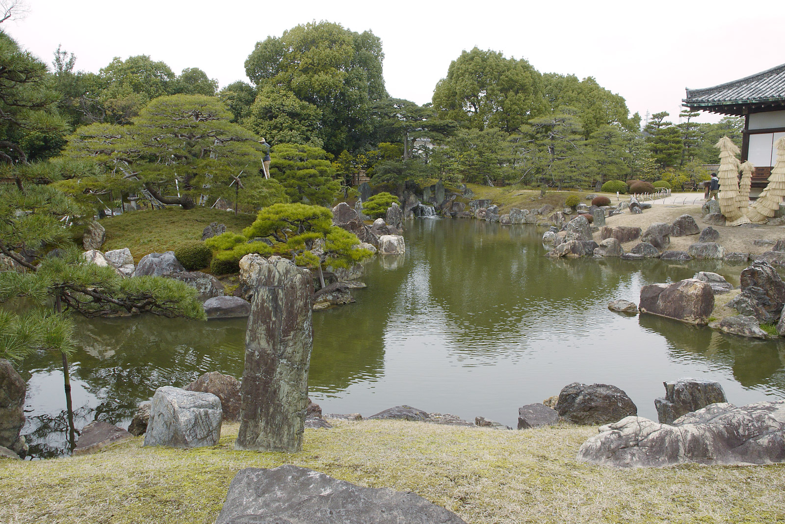 京都庭めぐりの旅 ～ 二条城二の丸庭園