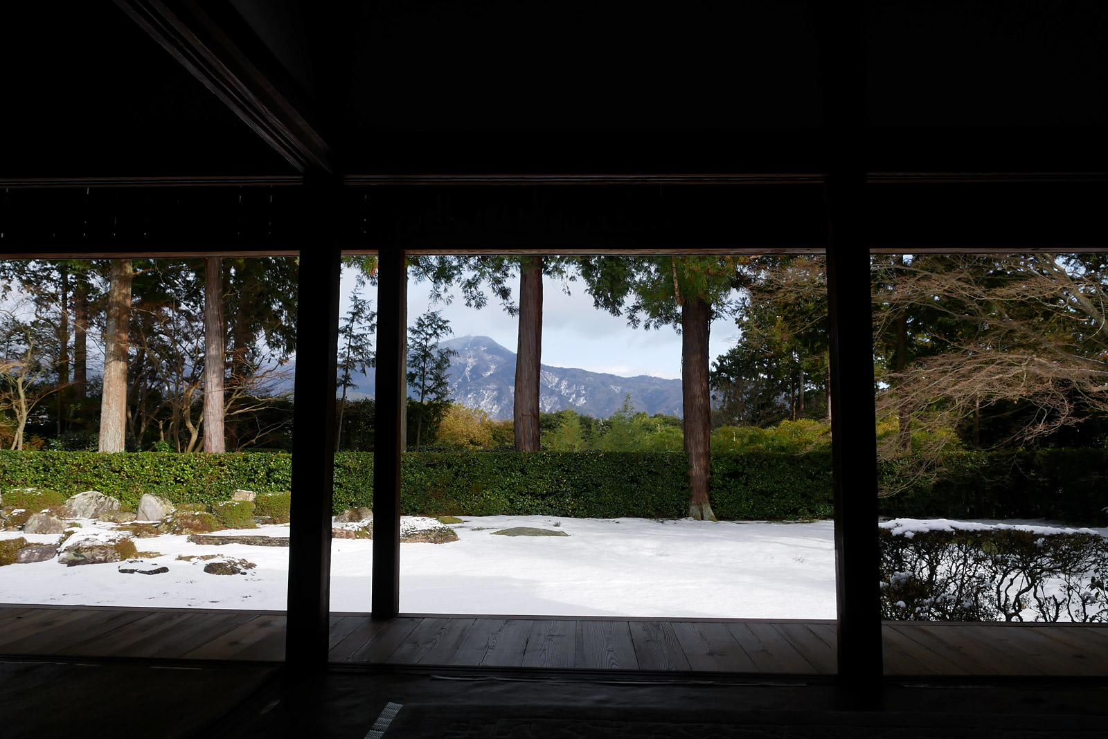 冬の京都三景 圓通寺庭園