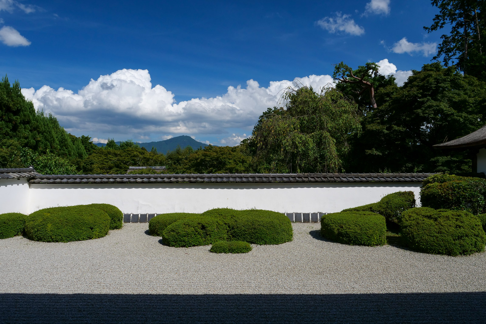 正伝寺庭園